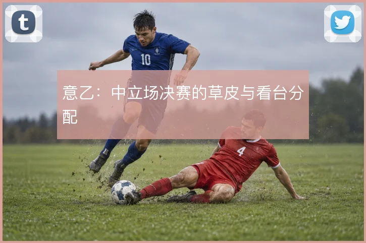 意乙：中立场决赛的草皮与看台分配
