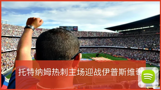 托特纳姆热刺主场迎战伊普斯维奇