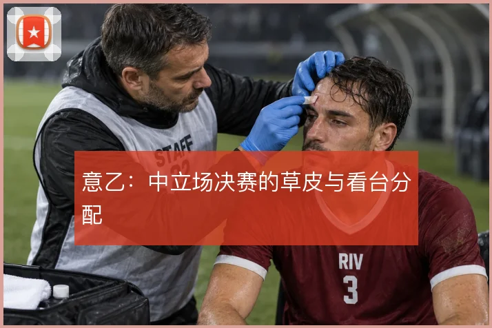 意乙：中立场决赛的草皮与看台分配